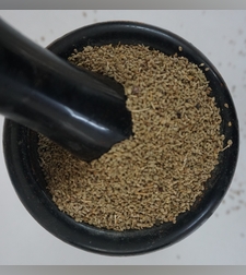 זרעי כרוויה קופטית- (נֵץ' אַזְמוּד)ነጭ አዝሙድ