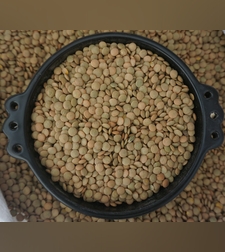 עדשים ירוקים קטן- (מְסֵר)ምስር