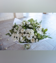 רכות מלטפת #210