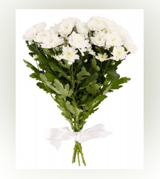 זר חרצית קטן - חן וצניעות