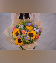 ססגוניות אביבית #214