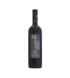 פליני-FELLINI,סוסון ים 