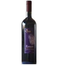 רומאן- ROMAIN,סוסון ים 