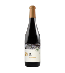 אלון, הרי גליל 