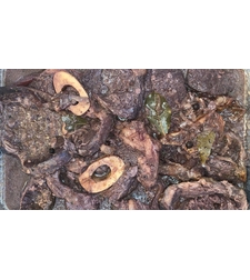 אוסובוקו בקר