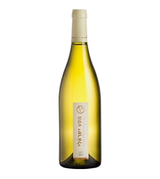 מסע ישראלי לבן, ויתקין