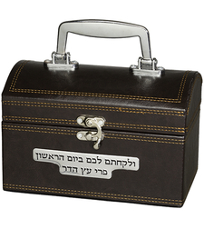 Fancy leather-like etrog box with plaque, handle and metal lock - dark brown