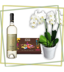 מארז אורכידאה