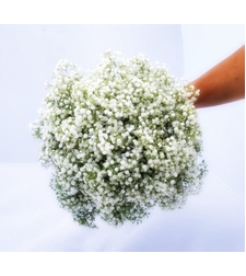 זר כלה לואיסה