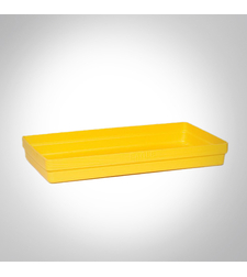 מאצרת בסיס 1631