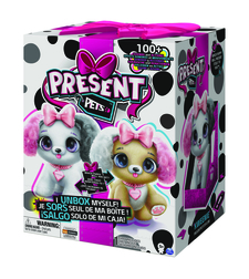 פרזנט פטס - פנסי