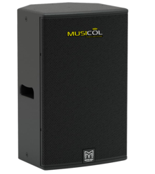 רמקול מוגבר 