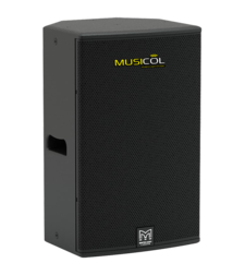 רמקול מוגבר 