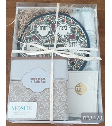 David Passover case model