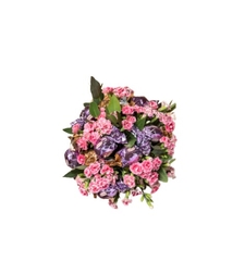 סידור שוקולד פלורידה