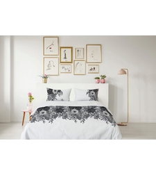 סט מצעים יחיד כותנה דסי 90/200