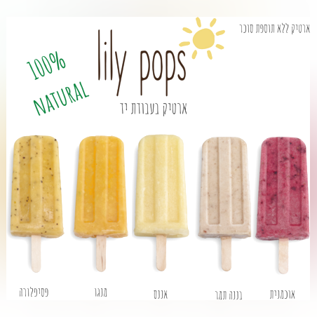 מארז 12 ארטיקים ללא תוספת סוכר