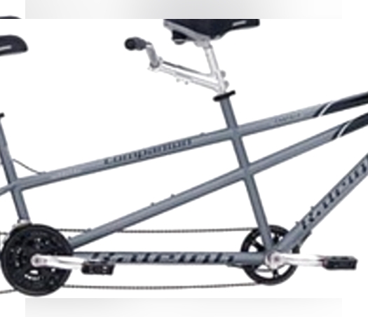 Raleigh Tandem Companion 2006