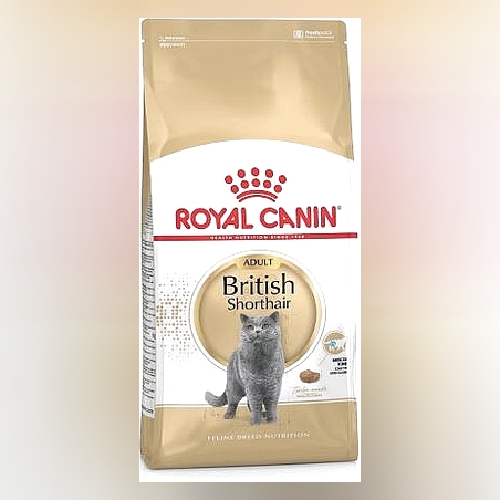 רויאל קנין בריטי קצר שיער אדולט 4 ק