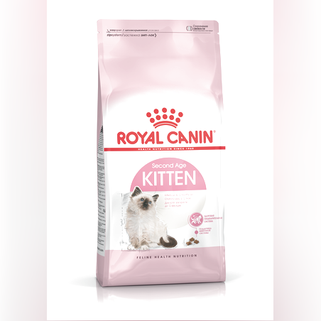 רויאל קנין חתול קיטן 10 ק