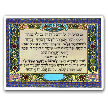 3016 - סגולה להצלחה בלימוד