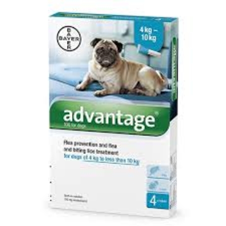 אדוונטג' לכלבים במשקל 4 עד 10 ק