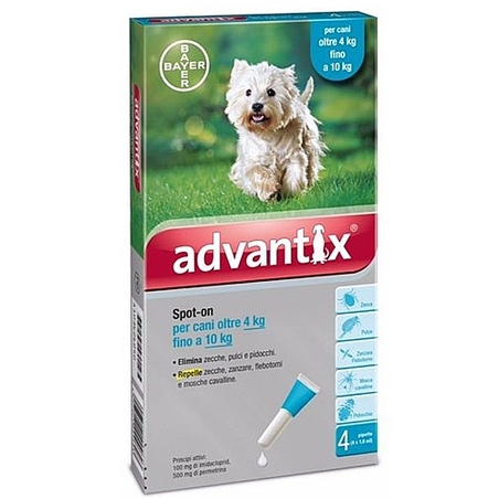 אדוונטיקס לכלבים במשקל 4 עד 10 ק