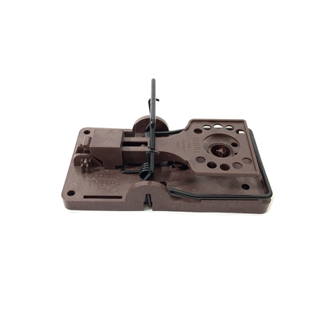 מלכודת קפיץ לחולדות