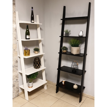 ספריה דגם סולם