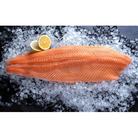 חבילת הכרות דגים בייבוא בלעדי לאקדמיה לדגים