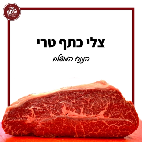 צלי כתף טרי (מס׳ 5)