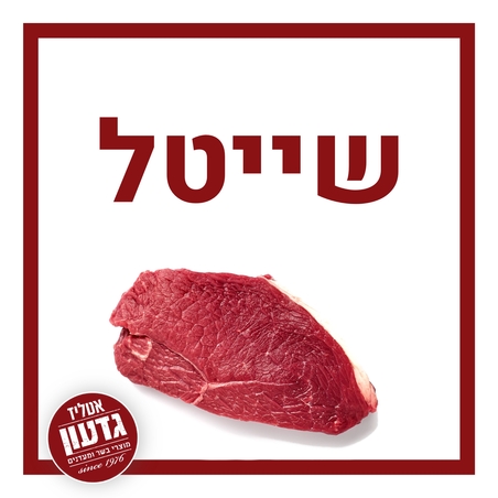 שייטל עגל טרי