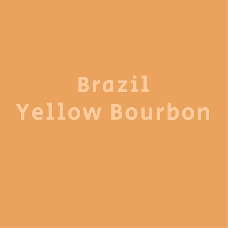 ברזיל ילו בורבן