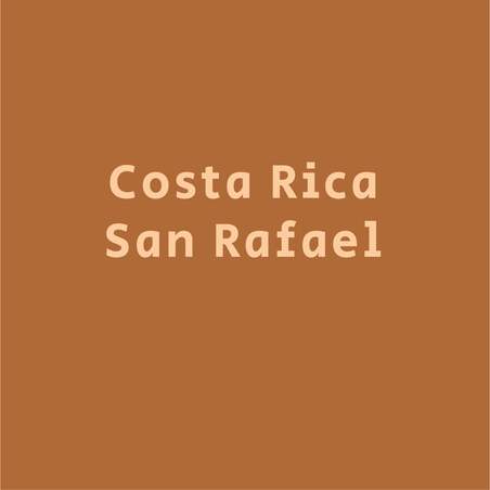 קוסטה ריקה סן רפאל