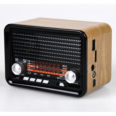 רדיו ורמקול בלוטוס רטרו