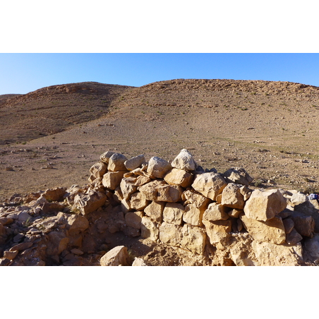 השתלמות מס' 908 - 13/10/2021 - נבטים וחשמונאים בהר הנגב - ד