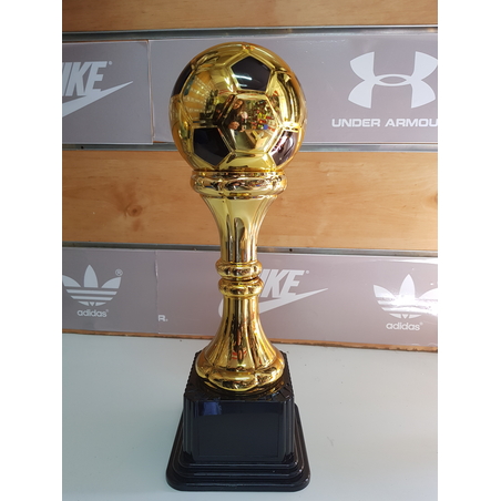  גביע כדורגל 