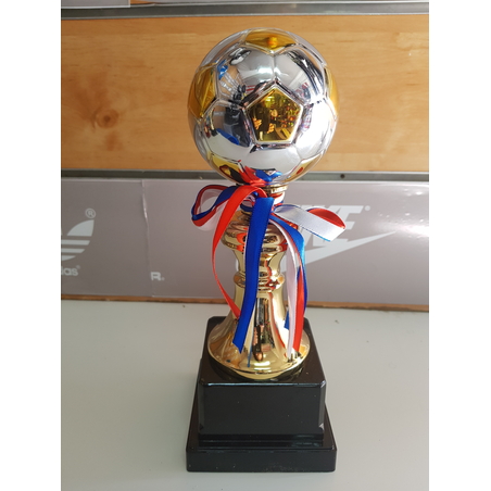 גביע/פסלון כדורגל 