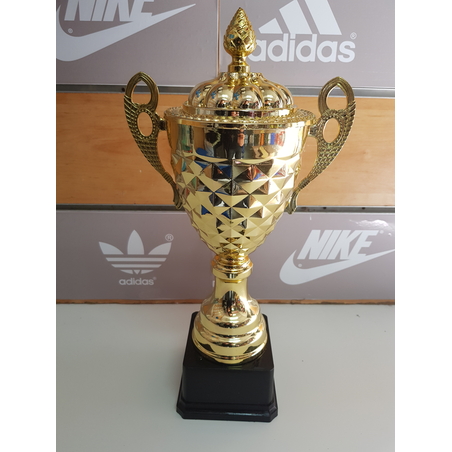 גביע זהב גדול 