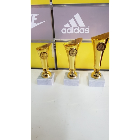 גביע כללי 3 גבהים 