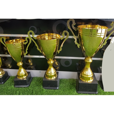 גביעי הוקרה לכל ענפי הספורט 