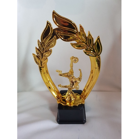 גביעי הוקרה לכל ענפי הספורט   