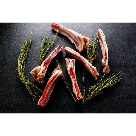 ספריבס טלה מקוצב מגידול מקומי