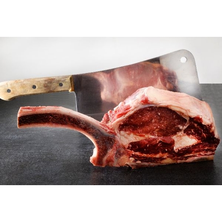 פריים ריב מקוצב מבקר מקומי