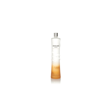 רוברטו קוואלי מלון ליטר