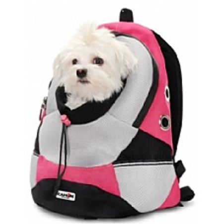 תיק גב לנשיאת כלב