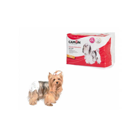 חיתולים חד פעמיים לכלב