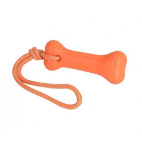 עצם משיכה לאילוף