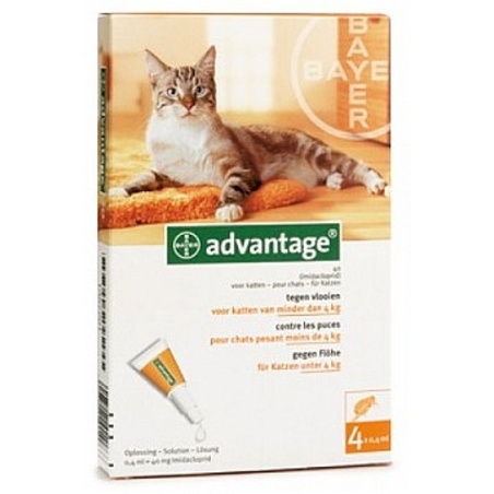 אדוונטג' חתול עד 4 קילו 