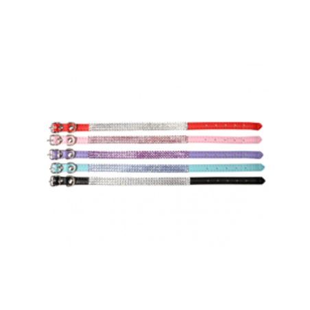 קולר משובץ אבנים לכלב קטן  